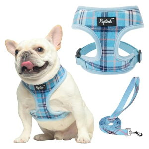 |EY (PAWZ) o[hbOu[c {pbP[W _[NO[ XL TCY