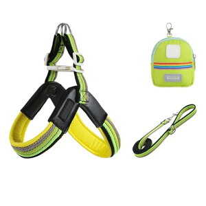 GIIPET  n[lX [h Zbg ^ ^ p ʓfUC  V^ ʋC bV y _炩 PUv EȒP ߉\ h~   |[`t U/o