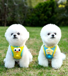 PET GOODS C&Z ybgpn[lX [htn[lX  L t t y EȒP mo (u[, S)