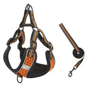 S&L  n[lX ^/^/Ln[lX [hZbg  ȒPE Ԕˍ CǂɗD \ ʋC Ȃ v ₷ lC y   Up (IW, M)