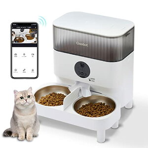 Ciaobot a L2C e 5L cC^Cv ybgtB[_[ Jt ^C}[w a@ ^Ăт@\ o  12305plus(ߔ)