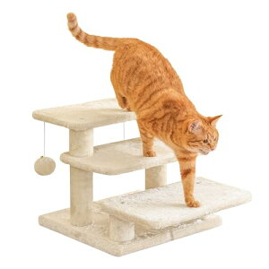 MwpoVjA Wv̋ȔL ɓo₷Xebv LKi^Cv Ⴂi LXebv ̊Ki^Cv ܂Ƃ Lbg^[ x[W 884A