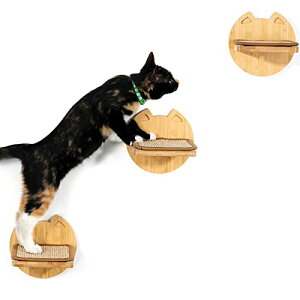 YangbagaLbgEH[N3ؐǊ|LpXebv TCUƂ܃pbht LbgXebv LpƋ L ܌ Vя tȒP