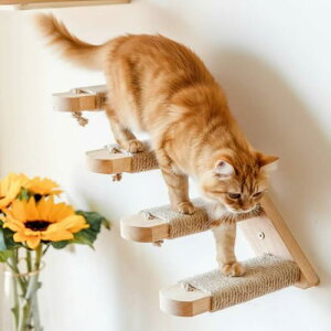 iimono117 Ǌ| LpKi LbgXebv R~ߕt tȒP L̗Vя Ǌ|Ki 4i Xebv Ǖt DIY ؐ ܂Ƃ  EH[WO (1)