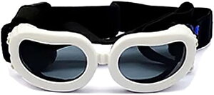 �h�b�O�S�[�O�� ���p�S�[�O�� �N���A�����Y ���� ���p�T���O���X �y�b�g�S�[�O�� �L���b�g�S�[�O�� �L�p�S�[�O�� �ڂ�ی� ���O���΍� �Ԑ����΍� ���^���p �g�C�v�[�h�� �~�j�`���A�_�b