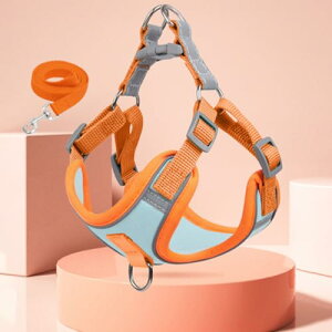 Lpn[lX×L[h | Lp×Jty×t[[uIXgXt[ňL̎Uɂ҂ (F{IWF, M)