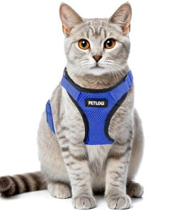 L n[lX Ȃ [h Up o xXg \tg y TCY߉ ʋCbV ˂ lR qL q ^ (w/1/XS)