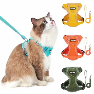 Paipeper L n[lX  [h Ȃ _ubN Lpi IV ^p ˑf 킢 bV y ʉ@ ЊQ  U 10FWJ(Vvu[ S)