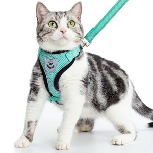 PUPTECK L n[lX [h Zbg Lpn[lX L[v Lp ybgpi lC   [ht Ԕ ߉\ EȒP Ȃ ʋCbV y ϋv S