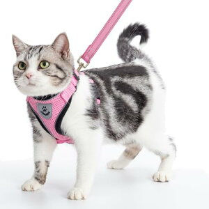 PUPTECK L n[lX [h Zbg Lpn[lX L[v Lp ybgpi lC   [ht Ԕ ߉\ EȒP Ȃ ʋCbV y ϋv S