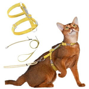 Lpn[lX [ht Ȃ y31g TCY߉ Up ʋCEyʁE锽 ^^LΉ S8F (CG[)