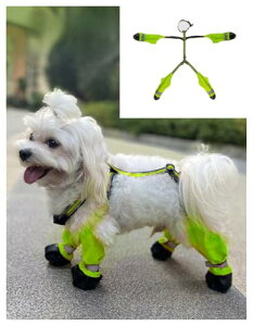 Homie Pettie pbOJo[ pTXy_[u[c Ԕf pu[c pV[Y  CV[Y ppc ~ h ⏕Xgbvt veN^[ ی 