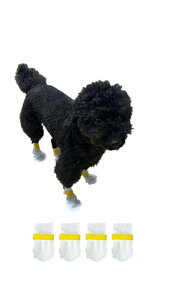 tFU[XgA  C pC Iׂ 40 80 ĝău[c C hbOu[c h h~ ی ی EȂ pV[Y ߉\ Lp ^ ^ o U