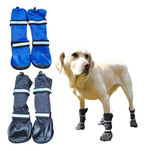 ^pu[c ubN 100 2̔ h O JE悯 Doggy Hug hM[nO