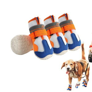 LIKOKLIN C bV pbVV[Y hbOu[c hbO ^ ˃e[vt ~ C ی Eɂ U[ SAEg\[\tgbV 3w\ _炩