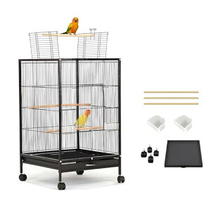 YASICA P[W Ƃ肩 CR P[W ^  LX^[t  тȂ IEp  ^ gbv_uhAƓVt ogC r ړ֗ V