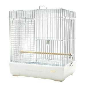 z[GC  ~jÂP F: M TCY