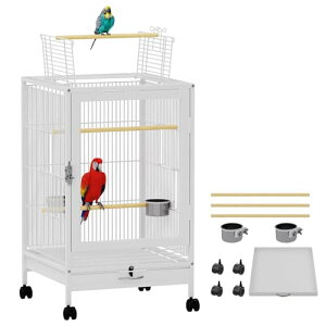  CR P[W  P[W ^  LX^[t  r ړ֗ V AN тȂ IEp  ^ gbv_uhAƓVt o