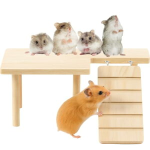 Avidora nX^[ 񂵎 TCgzC[  ܌ Vѓ vbgtH[̂