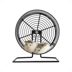 eY pzC[ y ^t[X 20 z 20cm 񂵎 t[X p zC[xgt X^h P[W| É S ybg nX^[ p_}EX V}X fO