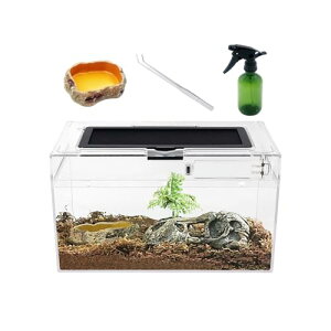 Reptile Growth ঒ P[W  ঒ރP[W e p JT ^N ޗpP[X {bNX 30*18*15cm, JANAJGAQbRAJ}LAwrAT\AN