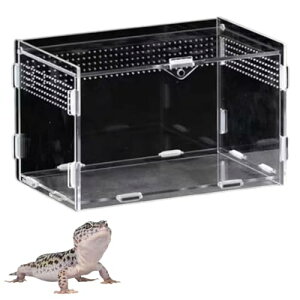 ateena ঒ P[W P[X  v^C Zbg Jiwr gJQ  T JG    vP[X VF^[ (20cm×12cm×12cm)