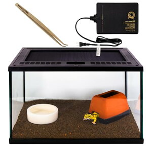 Xh[ IpZbg Lbg ঒  KXP[W 6_X^[^[Zbg plq[^[t EFbgVF^[M ou[sZbg aM \C