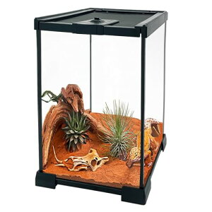 ঒ P[W ঒ P[X xxvt ঒ރeE^N P[X  ʋCP[W a eAN Cǂ aP[W {bNX T gJQ  w