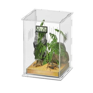 gJQ P[W ঒ P[W P[X xxvt ঒ރeE^N P[X  ʋCP[W a eAN Cǂ aP[W {bNX T gJQ 