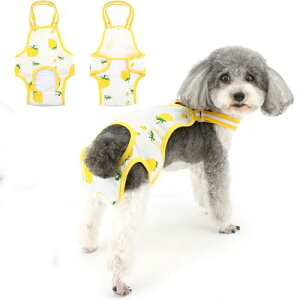 Ranphy  IcJo[ ̎q q L ނ TXy_[t   /^/^/Vp ̔/p ނJo[ pc Tj^[pc  h