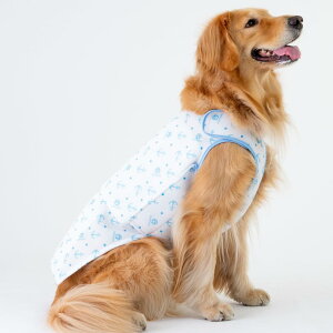  VERY TCYj[A t p炩ۗܕtN[xXg WANCOOL ^  _bNX ^ ^ ^ j̎q ̎q 킢 ₷  MǑ΍ ⊴f