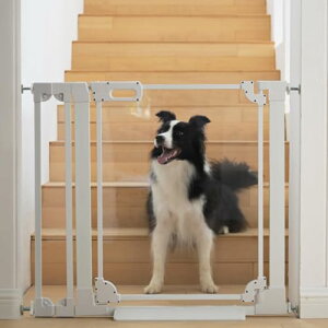 unumum xr[Q[g Q[g t75-96cm Ki ANQ[g J Ԃ ˂莮 I[gN[Y@\ g\  J ی ANQ[g 78cm zCg