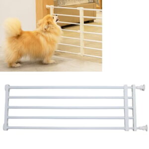 ateena ybgQ[g ybgtFX  L Q[g   ptFX ybgK[h Eh~ xr[Q[g xr[tFX Lb`Q[g Ki Q[g Lk (24cm)