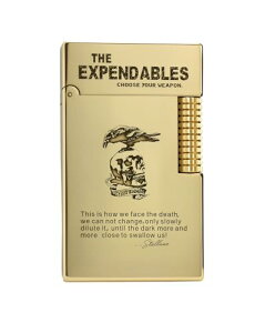 NVbNȐ^JC^[AtbvTChXCh_΁ANXs[ȉ郉C^[AYRNVA^tKC錾AS[fAThorens