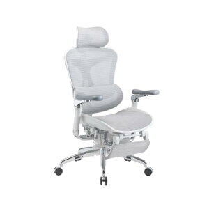 SIHOO Doro C500 ItBX`FA ֎q fXN`FAytbgXgtzlԍHw `FA e[N Ȃ l̍Hw bV`FA 6DAA[Xg 4iKSw K