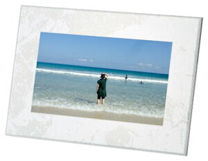 FUJIFILM fW^tHgt[ DP-701SH zCg DP-701SH W