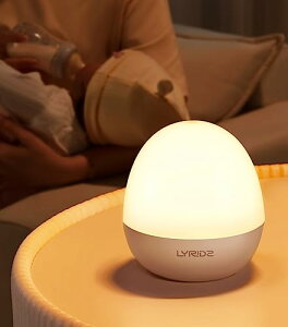 Lyridz xbhTChv Cg ^b`ZT[ iCgCg F/邳 ԐڏƖ usb[d 3000mAhe Cg ڂɗD /ނւp e[uv oYj Mtg