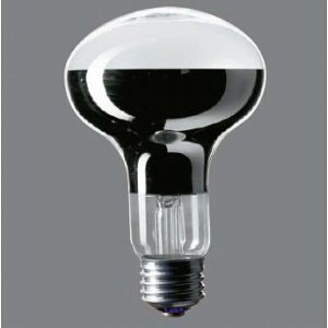 �p�i�\�j�b�N ���t�d�� 100V 100W�` ����E26 [10�Z�b�g] RF100V90W/D-10SET