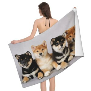 Chioee oX^IlC  Č ΂ Ck  킢 唻 ^I }CNt@Co[ ^I   r[`^I z hL ӂӂ G ϋv oXpi lGʗp 