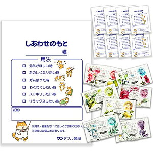 v`Mtg 8Zbg  16 ₳ LN^[ 낢 pfB {^jJoX  A َq 킢 