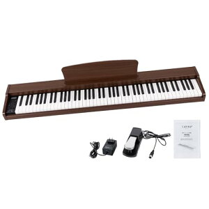 Carina dqsAm 88 L[{[h ؐfUC MIDIΉ TXeCy_t (}zKj[j