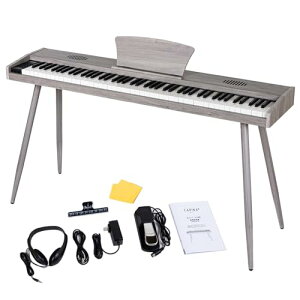 Carina dqsAm 88 L[{[h ؐ ̌^X^h MIDIΉ TXeCy_t (O[)