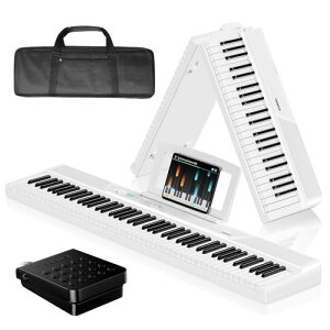 TERENCE dqsAm 88 ܂肽 30WfAXs[J[ L[{[h x^b`X|X {ĩ^b` 128F 30f [d\ ^b` SҌ 3{y_/AUDIO/MIDIڑ