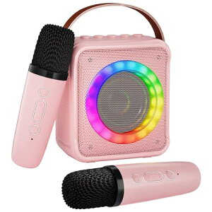 Verkstar JIPZbg ~j JIP}CN Bluetooth 5.0 }CN 2{ P AZbg ƒp JIP Xs[J[ z[JIP KTV {[J USB/TFJ[h/AuxĐ /AEghA Android/iPho