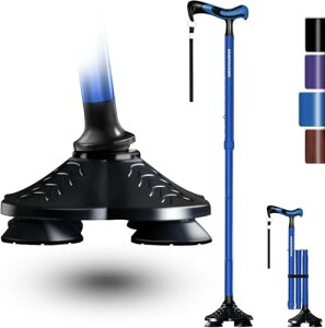 KingPavonini 4{  ܂ jp y s⏕ XebL 8iK ܂肽ݏ lԍHwnh hV̓v[g (u[)