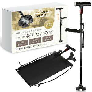 yƂEz LeLante  4{ ܂肽ݏ  y  Mtg jp 