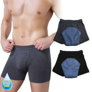 yOKEERzARpc փpcjp ɂ傤 jp pc OJyKL zʑIׂz300CC 500CCRȂIuԂS Y gNX am  zpbh2g