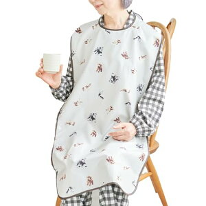 [RRcolor] pGv H   h fB[X x[W(Ck)