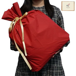 bsO   v[g  傫 n  W45×H56 cm Mtg В v[gp 蕨  a  NX}X o^C LO j ̓ bZ[WJ[ht