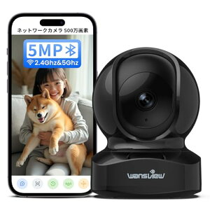 Wansview 500f Q5lbg[NJ 5GWi-FiΉhƃJ ǔ ybgJ CXĎJ AIm xr[j^[ 360xxr[Vlybg 펞^ ̌m o